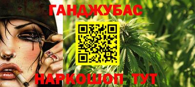 гашик Можга