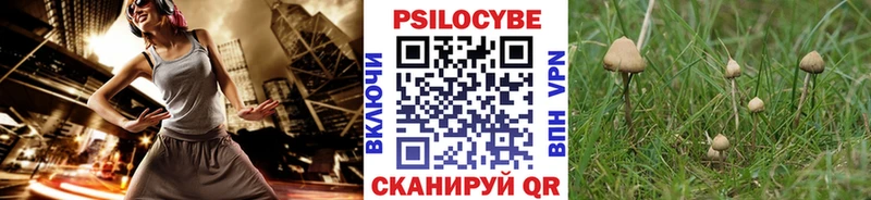 Псилоцибиновые грибы MAGIC MUSHROOMS  Арзамас 