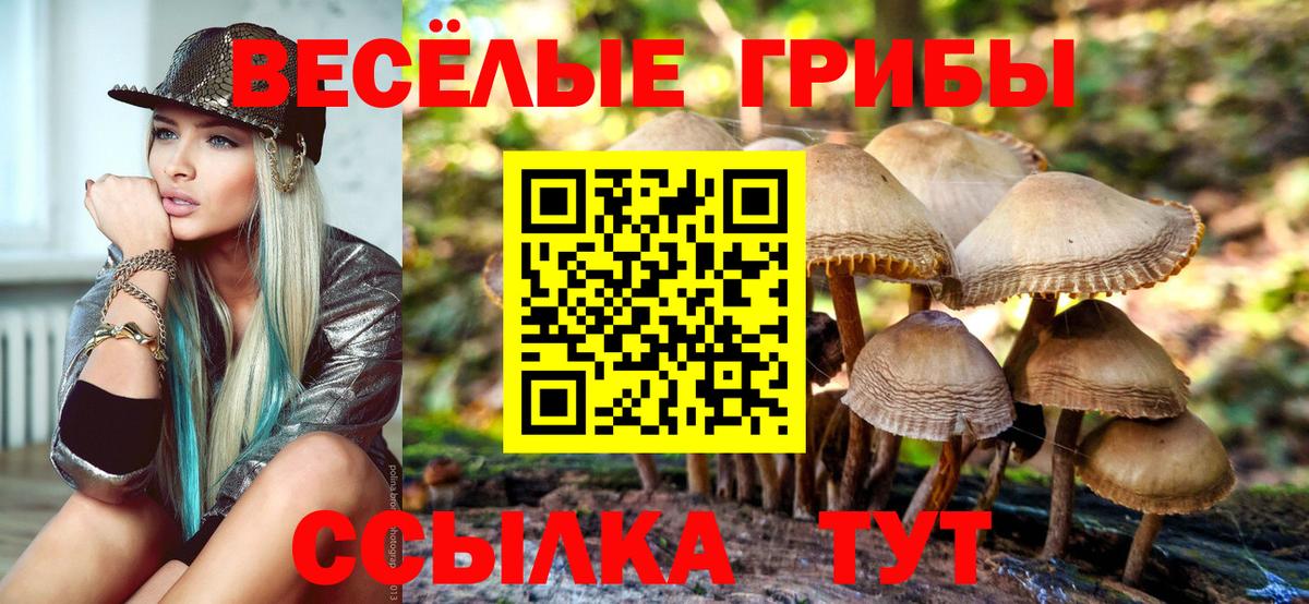 Галлюциногенные грибы MAGIC MUSHROOMS Арзамас