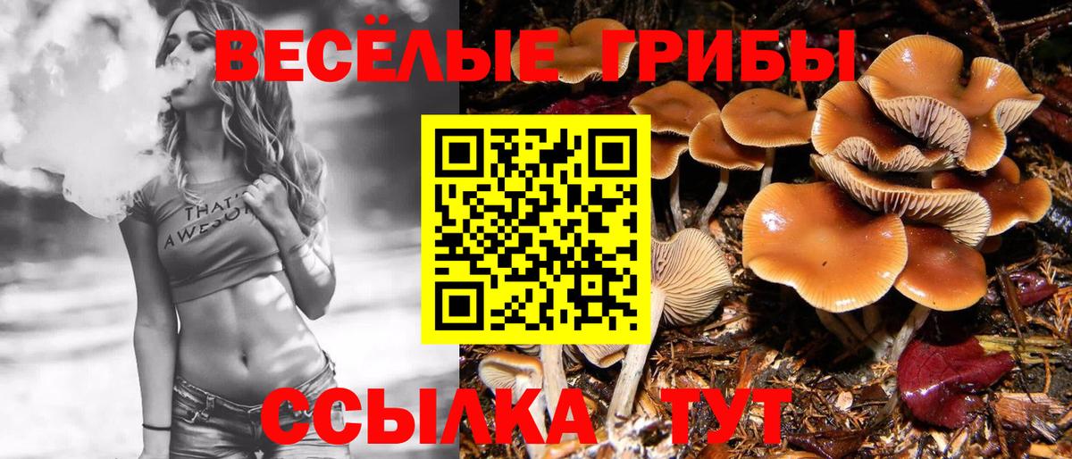 Галлюциногенные грибы ЛСД  Псилоцибиновые грибы мухоморы  Вход с VPN  Арзамас 